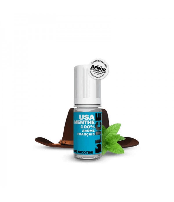 DLICE E-liquide USA Menthe 10ml pas cher et livrai...