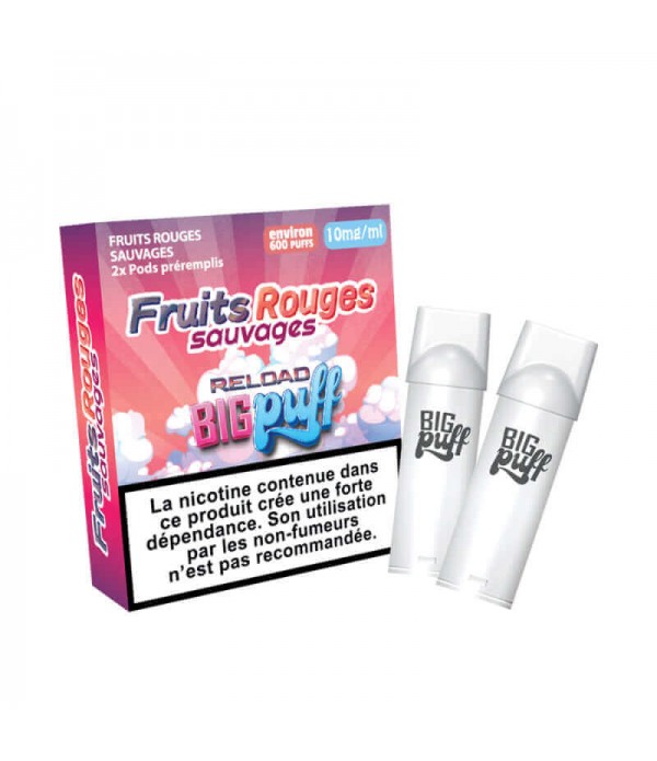 BIG PUFF Reload - Pack de 2 Cartouches 2 ml 600 Puffs