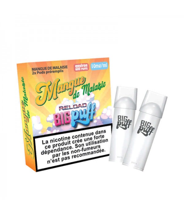 BIG PUFF Reload - Pack de 2 Cartouches 2 ml 600 Puffs