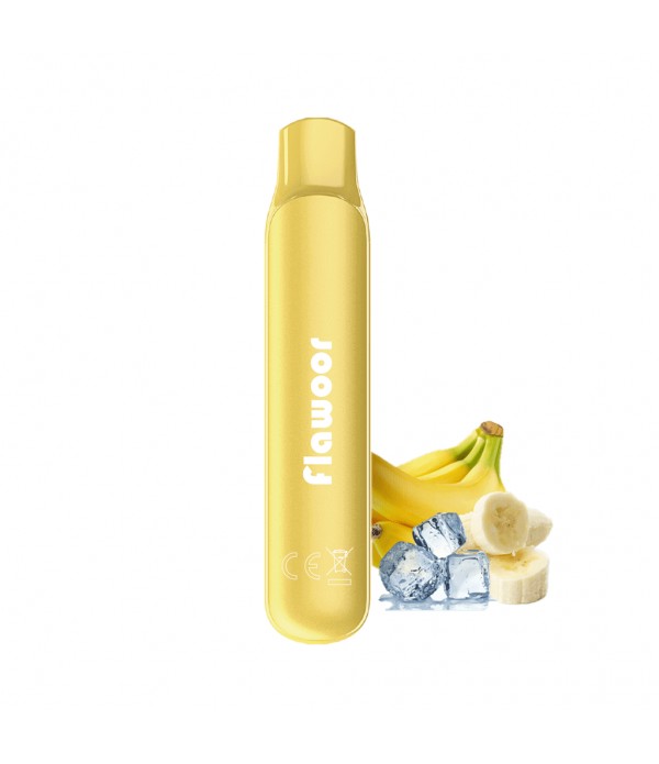 FLAWOOR MATE Pod Jetable 600 Puffs pas cher et livraison gratuite